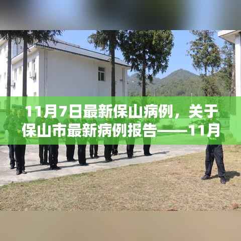 保山市最新病例报告,11月7日疫情分析与分析