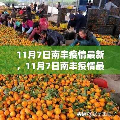 11月7日南丰疫情最新动态,防控措施分析与更新