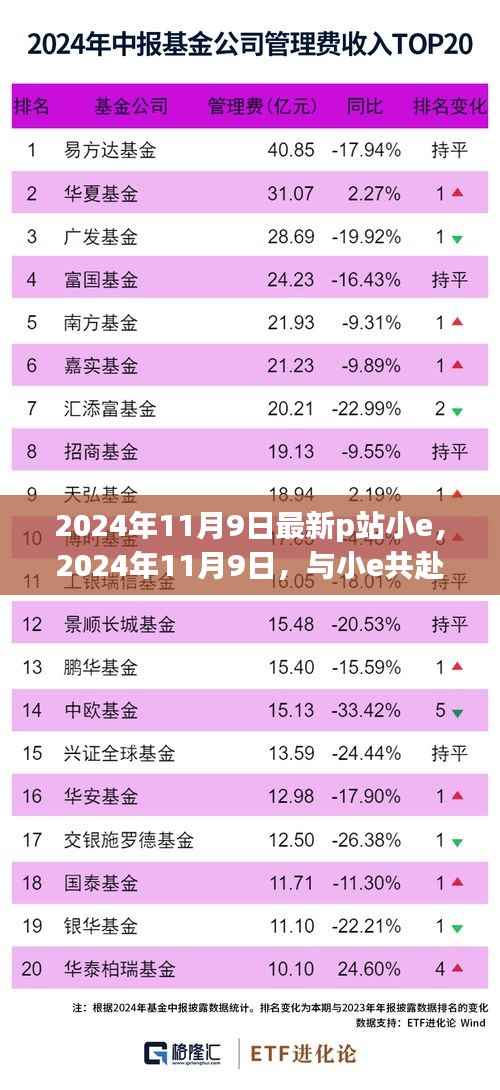 2024年11月9日P站小e之旅，寻找内心的平和与宁静