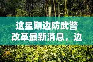 没精打采 第6页