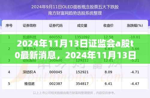 证监会A股T+0最新消息解读与应对策略指南（2024年11月13日版）