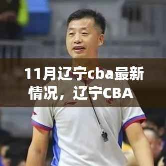 辽宁CBA 11月局势深度解析,内外变化与个人观点聚焦