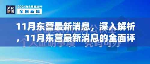11月东营最新动态,全面解析与评测