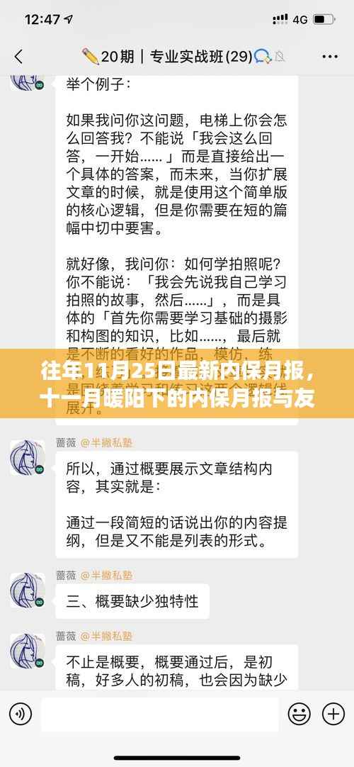 暖阳下的十一月内保月报,友情与保障的双重故事