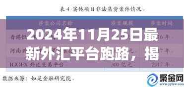 揭秘特色小店背后的外汇平台跑路事件,意外发现之旅的警示故事
