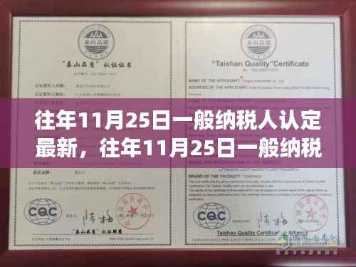 往年11月25日一般纳税人认定最新解读，特性、体验、竞争分析与目标用户群体全面剖析