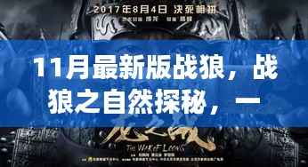 战狼之自然探秘,内心平静的奇妙旅行