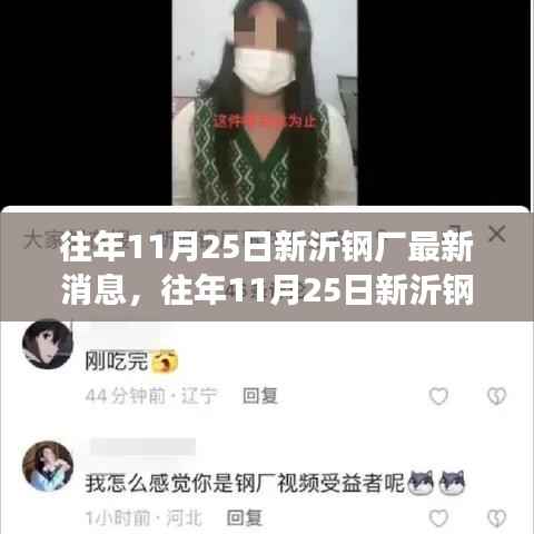 往年11月25日新沂钢厂最新动态,深度解读与观点阐述