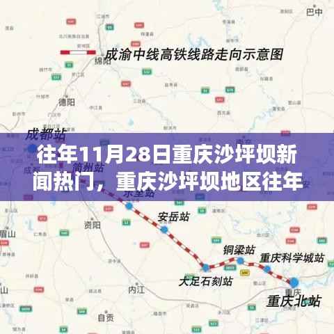 重庆沙坪坝地区历年11月28日新闻热点深度解析与回顾