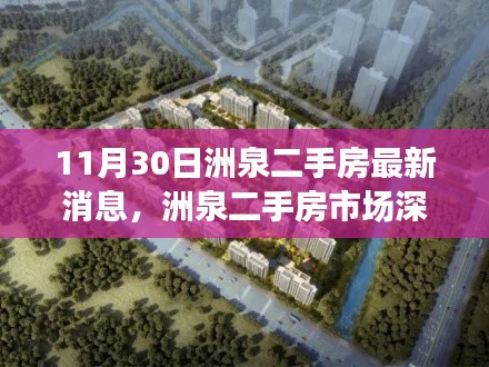 11月30日洲泉二手房市场最新动态与深度观察