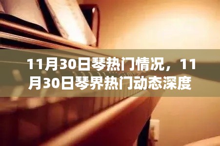 11月30日琴界热门动态深度解析，热门情况一览