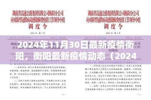 2024年11月30日衡阳最新疫情动态报告
