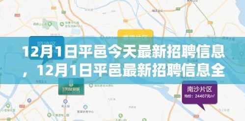 12月1日平邑最新招聘信息全解析与介绍