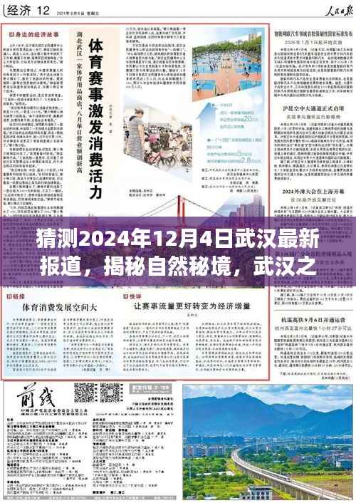 揭秘武汉自然秘境，探寻心灵宁静之旅启程于未来日期揭晓日，武汉最新报道 2024年12月4日