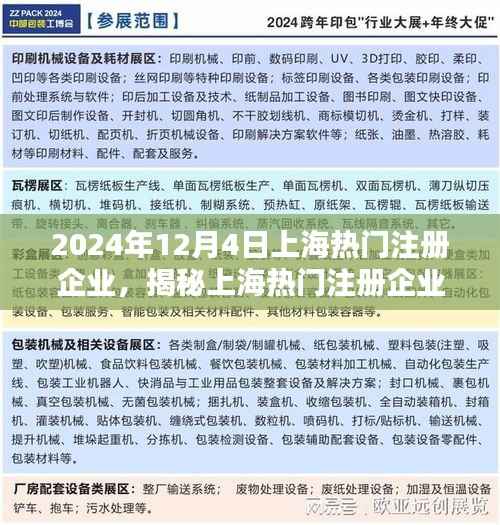 东张西望 第2页