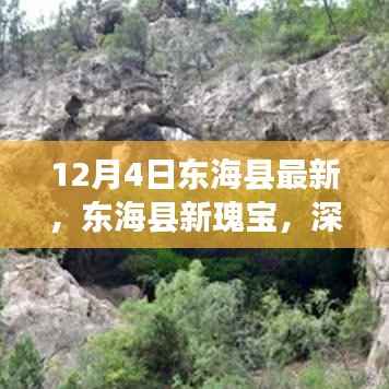 东海县新瑰宝深度评测与介绍——最新动态12月4日独家报道
