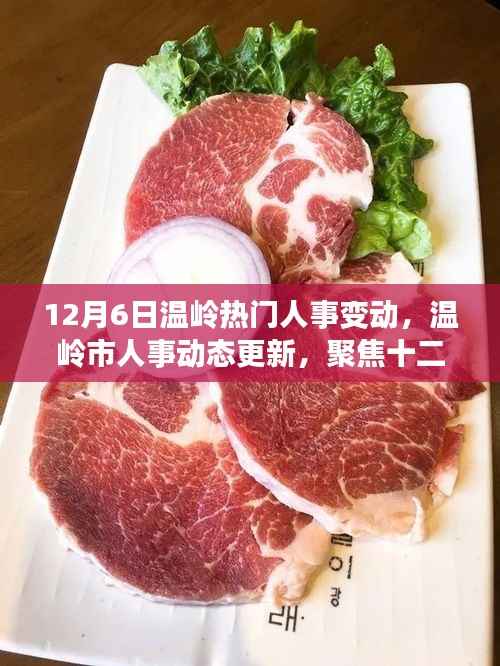12月6日温岭人事大变动，市人事动态更新聚焦当日关键调整