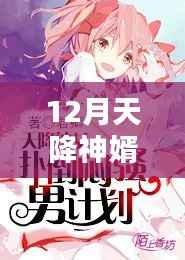 神婿天降,揭秘十二月热门章节背后的情感与观点碰撞