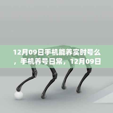 12月09日手机养号日常,实时号养成之旅