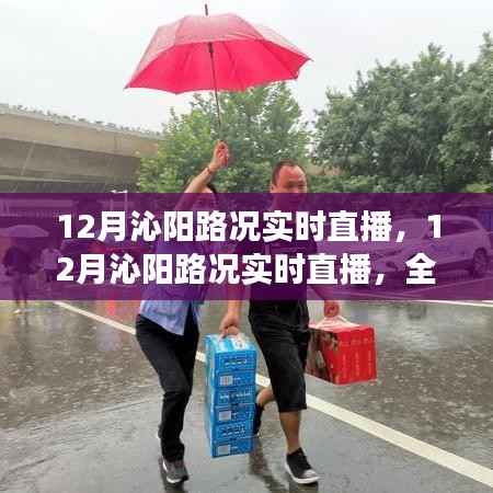 沁阳路况实时直播，全面解析交通状况，洞悉路况变迁