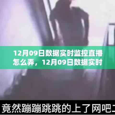 12月09日数据实时监控直播详解,实施策略与观点碰撞