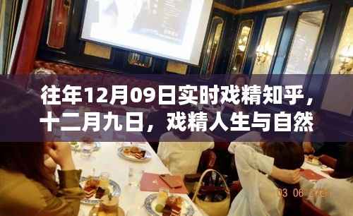 戏精人生与自然的奇妙相遇，十二月九日实时戏精知乎