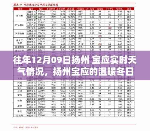 扬州宝应冬日友情故事，12月09日的实时天气与温暖情谊