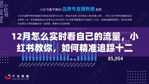 小红书教你如何实时追踪十二月流量动态，洞悉数据变化，精准掌握流量状况！