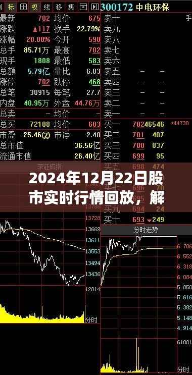 解码股市风云，深度回放与观点剖析——2024年12月22日股市实时行情回顾