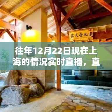 学习之光照亮冬夜上海，实时直播记录城市脉动