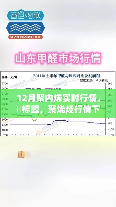 林下风范 第2页