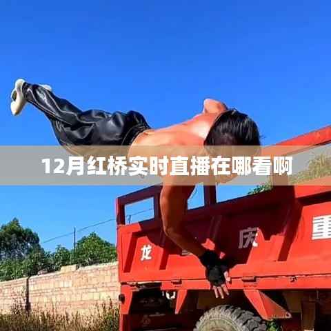 红桥直播观看指南，实时直播观看渠道汇总