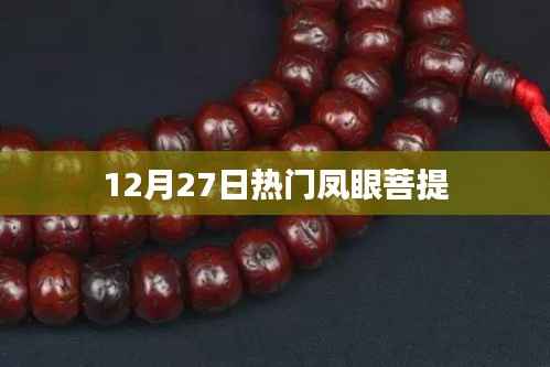 凤眼菩提大热,12月27日最新资讯