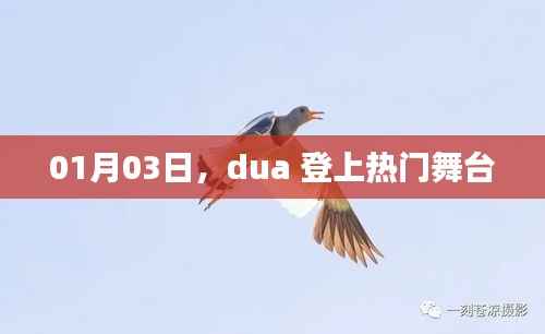 Dua引爆热门舞台，01月03日瞩目瞬间