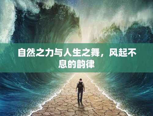 自然之力与人生之舞，风起不息的韵律