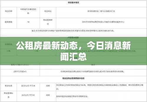 公租房最新动态，今日消息新闻汇总