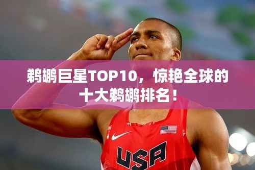 鹈鹕巨星TOP10，惊艳全球的十大鹈鹕排名！