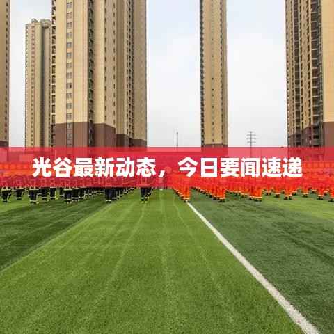 光谷最新动态,今日要闻速递