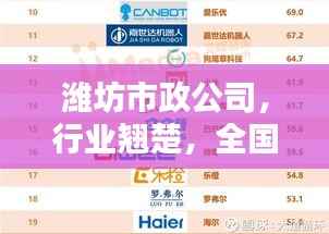 潍坊市政公司，行业翘楚，全国排名领先