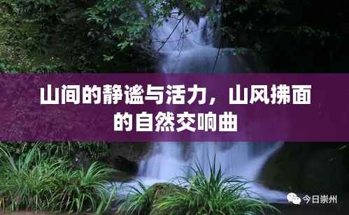 山间的静谧与活力，山风拂面的自然交响曲