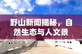 野山新闻揭秘，自然生态与人文景观的最新动态揭秘