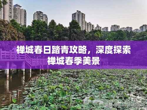 禅城春日踏青攻略，深度探索禅城春季美景