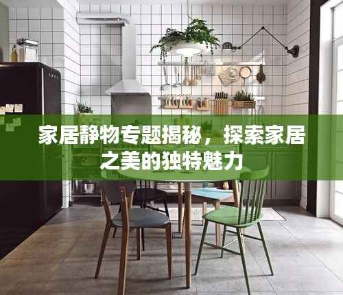 家居静物专题揭秘，探索家居之美的独特魅力
