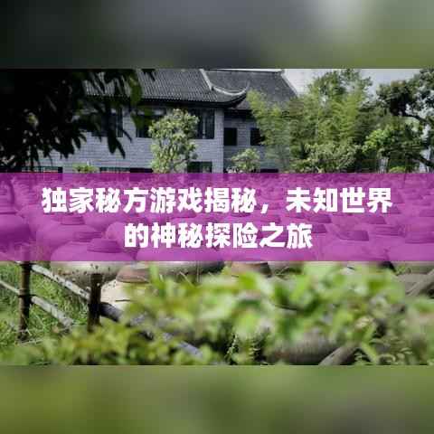 独家秘方游戏揭秘，未知世界的神秘探险之旅