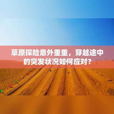 草原探险意外重重，穿越途中的突发状况如何应对？