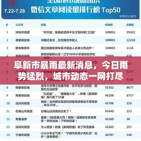 阜新市暴雨最新消息,今日雨势猛烈,城市动态一网打尽