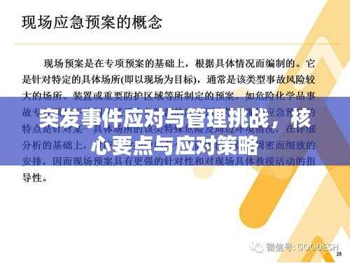 突发事件应对与管理挑战,核心要点与应对策略