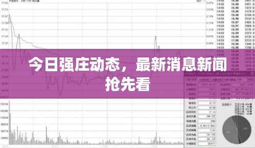 今日强庄动态，最新消息新闻抢先看