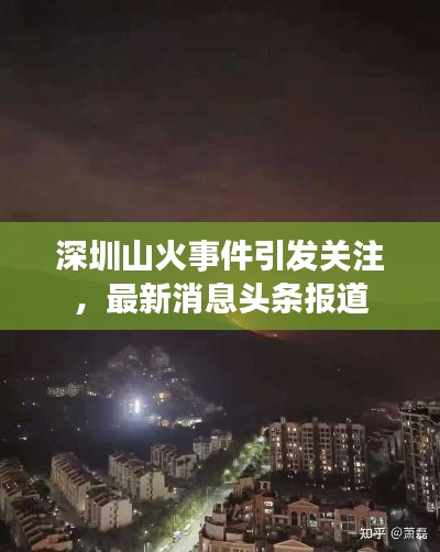 深圳山火事件引发关注,最新消息头条报道