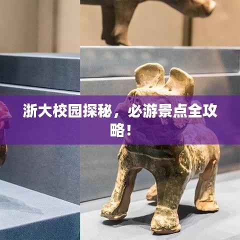 浙大校园探秘,必游景点全攻略!